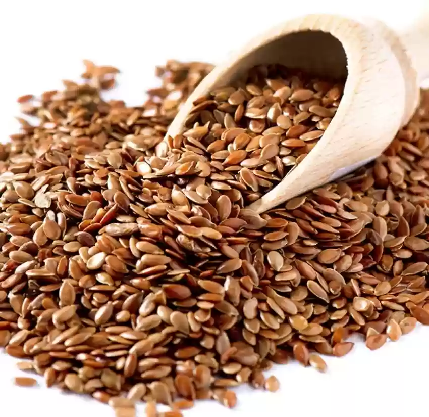 Flax Seeds