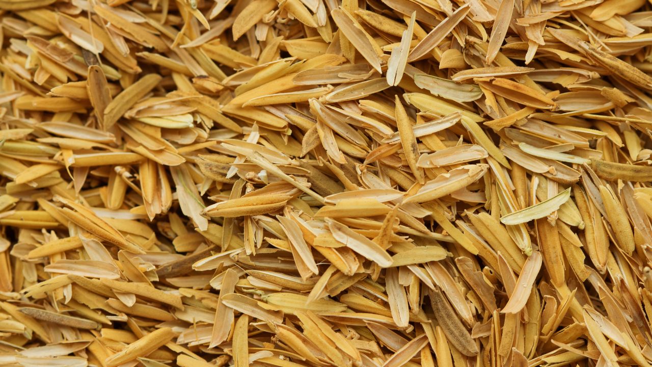 Rice Husk Suppliers in India